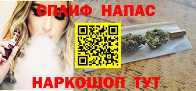СК Шелехов