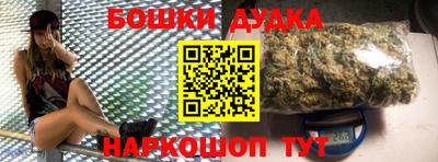 гашик Шебекино