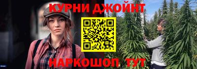 гашик Шебекино