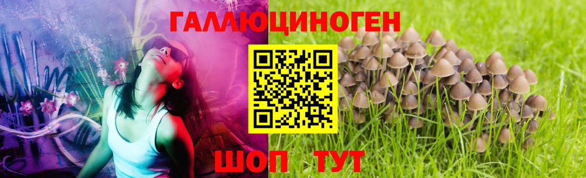 Волжский  Галлюциногенные грибы Magic Shrooms  где купить наркотик  Вход с VPN  Галлюциногенные грибы Magic Shrooms 